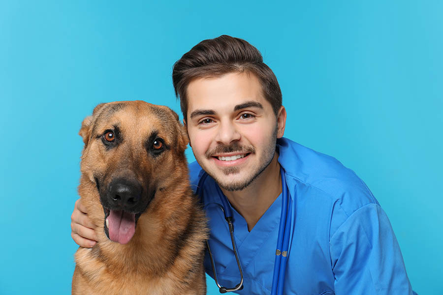Ambulatorio Veterinario - Olmi - San Biagio di Callalta - Breda di Piave